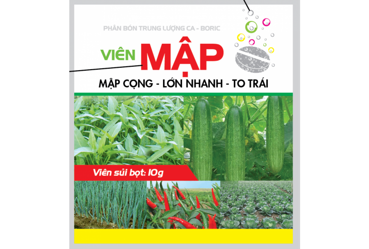 VIÊN MẬP 